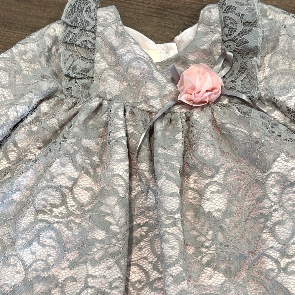 NWOT Laura Ashley 24 Months Gray and Pink Lace Dress - Picture 2 of 10